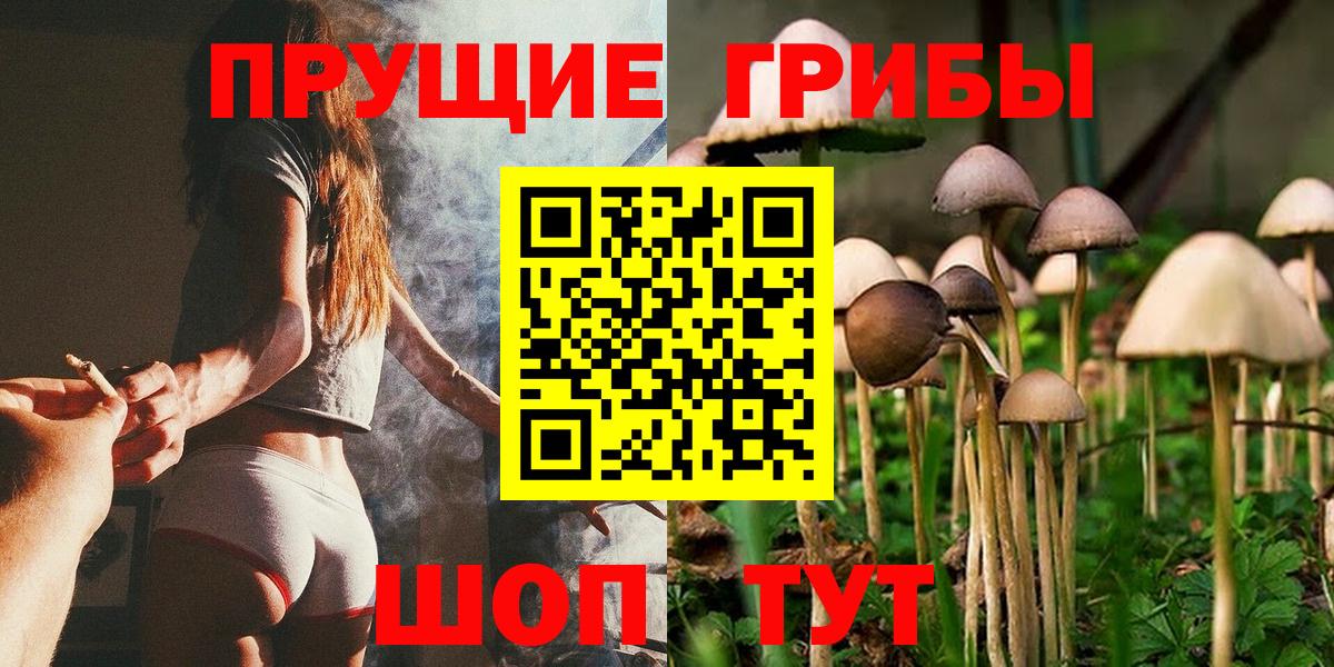 Галлюциногенные грибы Сертолово